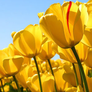 Meet your Posher, Madie